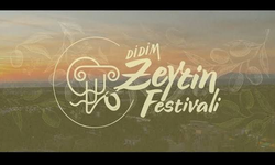 Didim 8. Zeytin Festivali coşkuyla başlıyor: 4 Günlük dolu dolu program açıklandı