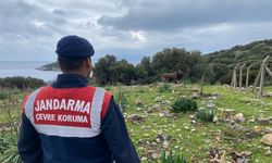 Jandarmanın konumunu paylaşan 8 şüpheli yakalandı