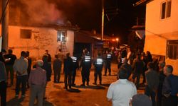 Karacasu'daki yangında Baba Çınar’dan da acı haber geldi