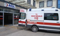Arı soktu sandılar, gerçek hastanede ortaya çıktı!