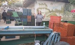 Karacasu'nun ilk ve tek kadın zeytin tüccarı fiyatlara isyan etti