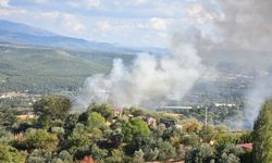 Karacasu'da ev ve hayvan damı yangını: Karadan ve havadan müdahale edildi