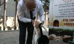 Karacasu'da sokak canlarına Müdür şefkati