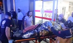 Karacasu'daki yangından acı haber: Anne Meryem Çınar hayatını kaybetti