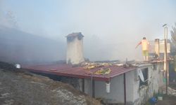 Karacasu'daki yangının zarar bilançosu belli oldu