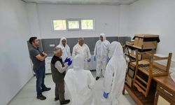Kestane gal arısına karşı biyolojik mücadele güçlendiriliyor