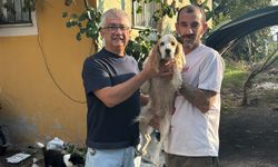 Kuki’yi buldu, 10 bin lira kazandı