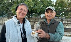 Kuşadası’nda kurtarılan atmaca ve sansar yeniden doğaya bırakıldı