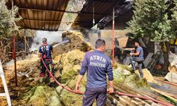 Nazilli’de korkutan yangın: Çiftlik kül olmaktan son anda kurtarıldı