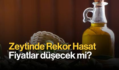 Zeytinde Rekor Hasat: Fiyatlar Düşecek Mi?