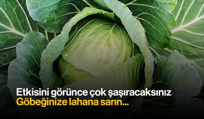 Etkisini Görünce Çok Şaşıracaksınız! Göbeğinize Lahana Sarın...