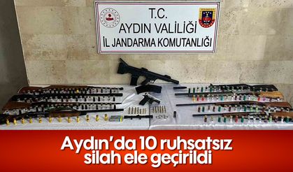 Aydın'da 10 ruhsatsız silah ele geçirildi