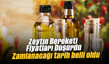 Zeytin Bereketi Fiyatları Düşürdü: Zamlanacağı Tarih Belli Oldu