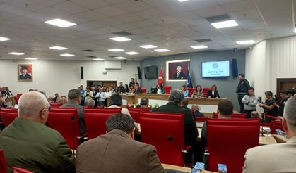 Meclisten Koçarlı’ya umutlandıran söz