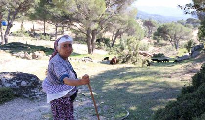 Aydın'ın en genç çobanı: Ne olursa olsun terk etmedi