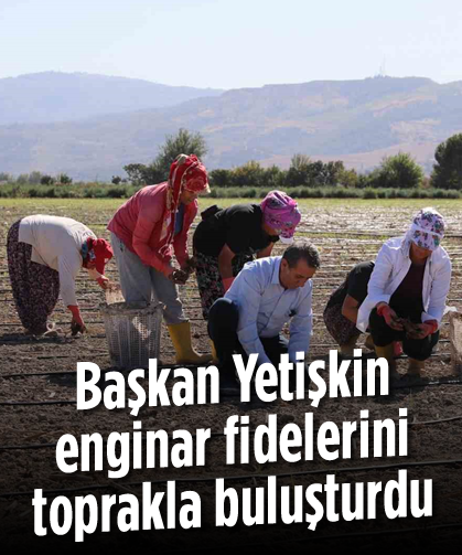 Başkan Yetişkin enginar fidelerini toprakla buluşturdu