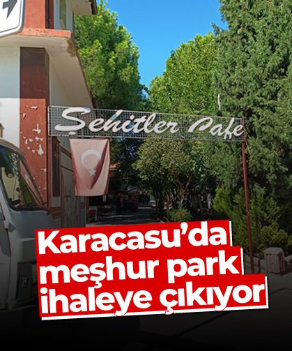 Karacasu'da meşhur park ihaleye çıkıyor