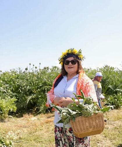 Baskan Gençay Festivalde enginar hasadı yaptı