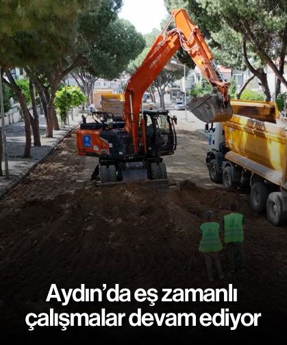 Aydın'da eş zamanlı çalışmalar devam ediyor