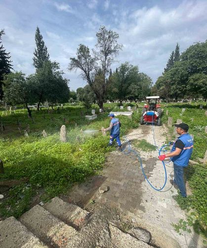 Hamzabali Mezarlığı bakıma alındı