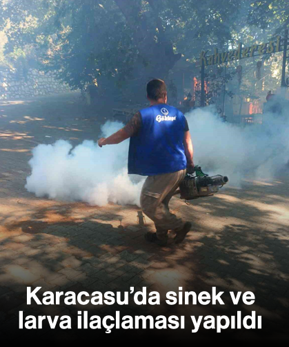 Karacasu’da sinek ve larva ilaçlaması yapıldı