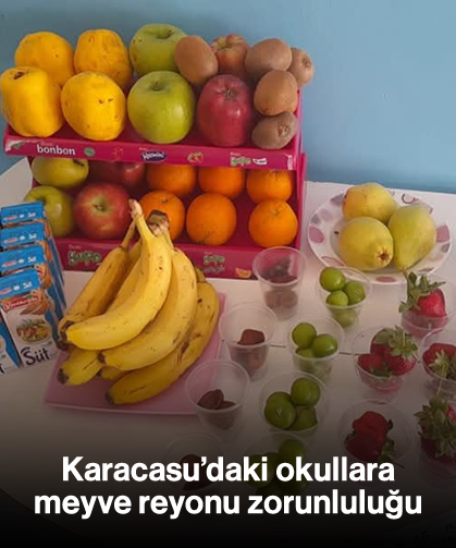 Karacasu'daki okullara meyve reyonu zorunluluğu