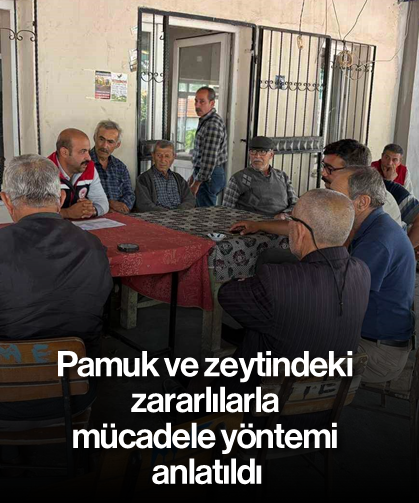 Pamuk ve zeytindeki zararlılarla mücadele yöntemi anlatıldı