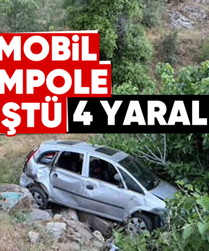 Otomobil şarampole düştü: 4 yaralı