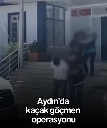 Aydın’da kaçak göçmen operasyonu