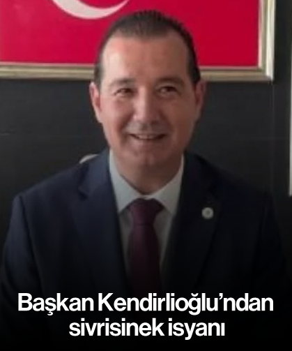 Başkan Kendirlioğlu’ndan sivrisinek isyanı