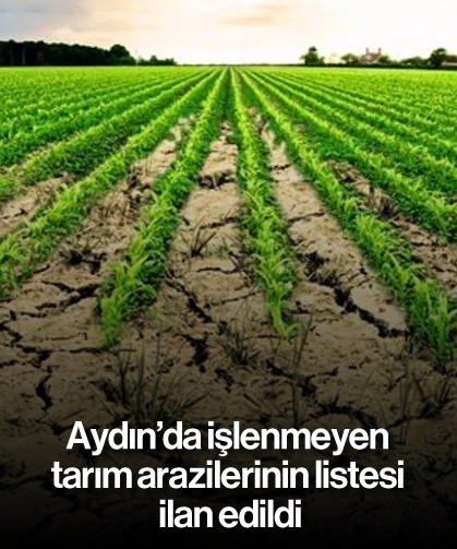 Aydın’da işlenmeyen tarım arazilerinin listesi ilan edildi