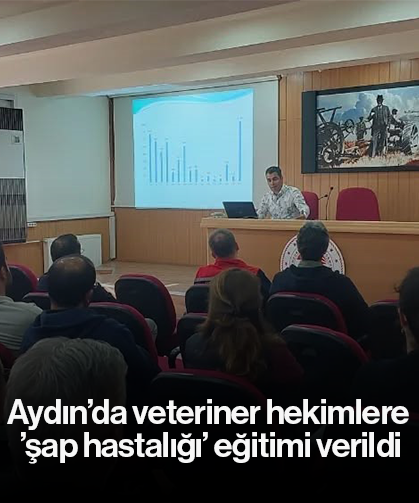 Aydın’da veteriner hekimlere ’şap hastalığı’ eğitimi verildi