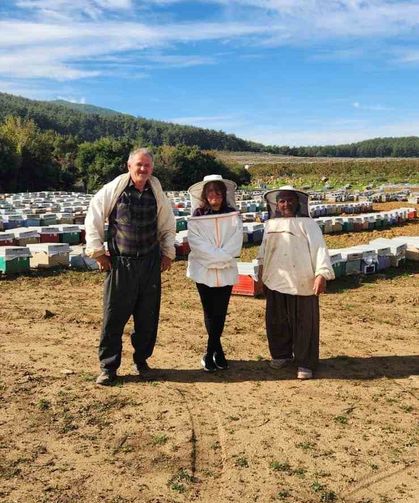 Söke’de arılı kovan tespiti yapıldı