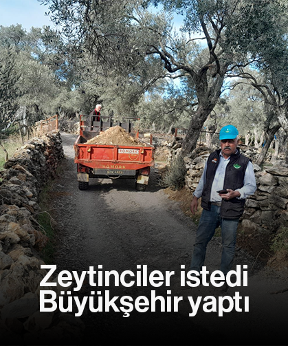 Zeytinciler istedi, Büyükşehir yaptı