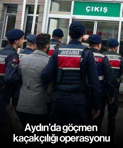 Aydın’da göçmen kaçakçılığı operasyonu