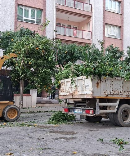 Efeler’in ekipleri daha yeşil bir kent için çalışıyor