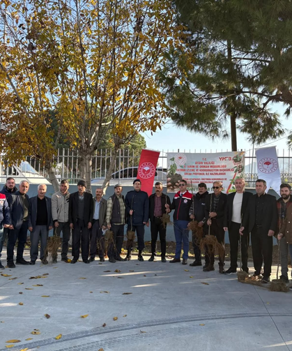 Koçarlılı üreticiler fidanlarına kavuştu