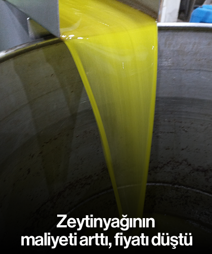 Zeytinyağının maliyeti arttı, fiyatı düştü