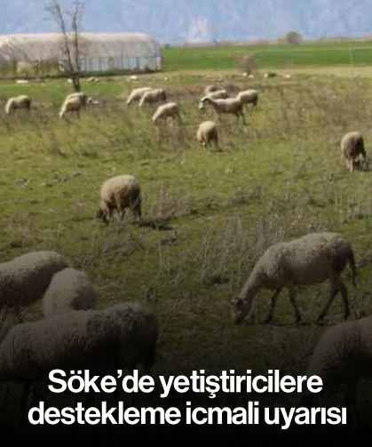 Söke’de yetiştiricilere destekleme icmali uyarısı