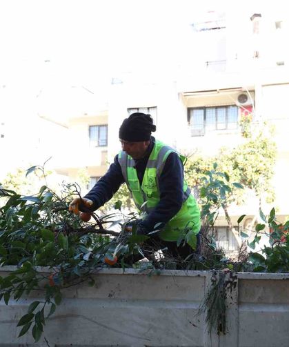 Aydın Büyükşehir Belediyesi’nden Efeler’in yeşil alanlarına bakım