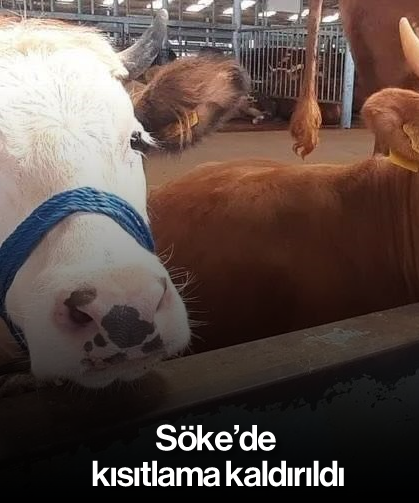 Söke'de kısıtlama kaldırıldı