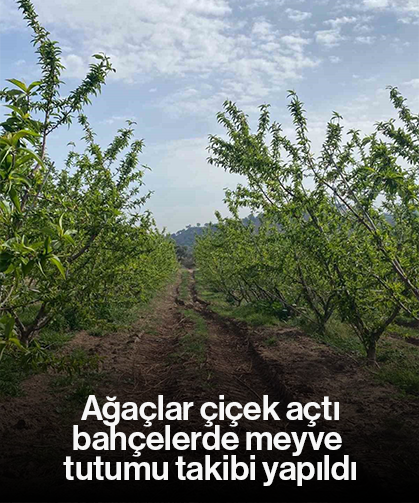 Ağaçlar çiçek açtı, bahçelerde meyve tutumu takibi yapıldı