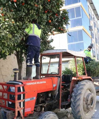 Başkan Ercan, gençlerin talebini yerine getirdi