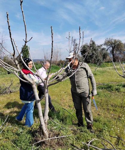 Bozdoğan İlçe Tarım ve Orman Müdürlüğü ekipleri ilek bahçesinde bakım yaptı