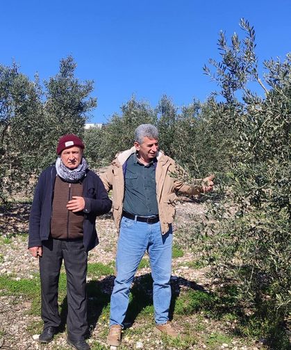 Didim’de Zeytinde halkalı leke hastalığı ile mücadele çağrısı