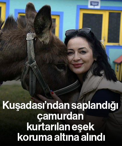 Kuşadası’ndan saplandığı çamurdan kurtarılan eşek koruma altına alındı