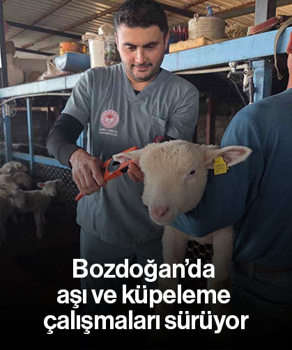Bozdoğan’da aşı ve küpeleme çalışmaları sürüyor