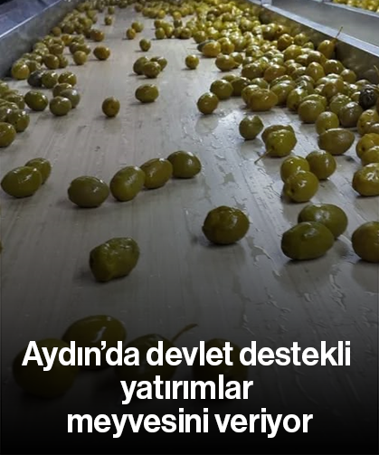 Aydın’da devlet destekli yatırımlar meyvesini veriyor