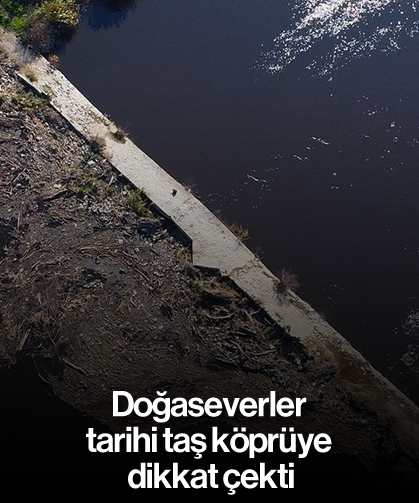 Doğaseverler tarihi taş köprüye dikkat çekti