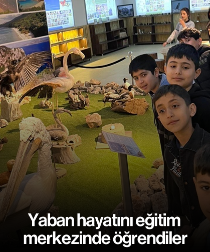 Yaban hayatını eğitim merkezinde öğrendiler